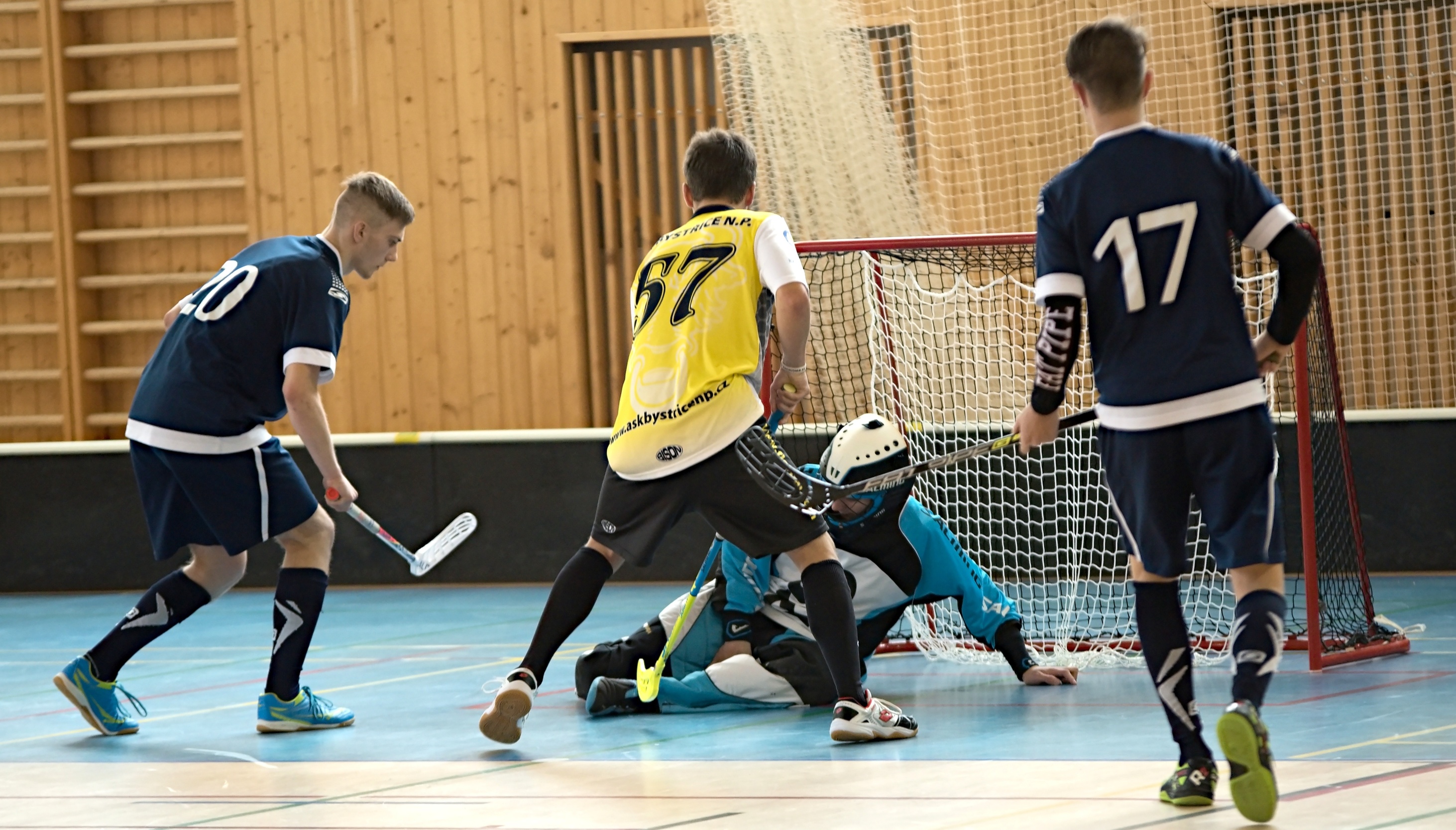 JunciLedec241015 001